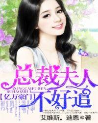 总裁夫人不好追,爱情路上的甜蜜挑战